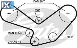 GATES ΙΜΑΝΤΑΣ ΧΡΟΝΙΣΜΟΥ PORSCHE 5096 92810515700