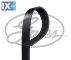 GATES ΙΜΑΝΤΑΣ POLY-V  8PK1218 RF8G15909 RF8G15909 8PK1218  - 0 EUR