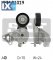 Τεντωτήρας, ιμάντας poly-V SKF VKM31019  - 34,8 EUR