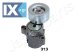 Βραχίονας σύσφιγξης, ιμάντας poly-V JAPANPARTS TS313  - 115,1 EUR