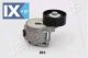 Βραχίονας σύσφιγξης, ιμάντας poly-V JAPANPARTS TS803  - 50,1 EUR