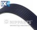 Ιμάντας poly-V NIPPARTS J1081225  - 32,75 EUR